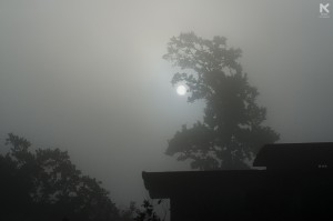 Sunrise, or rather, a Moon Rise at Kundadri Hills, Agumbe