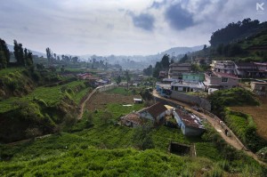 Ooty, Tamilnadu