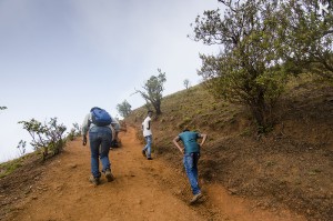 Trekking to Sarvajnapeetha and Chithramoola Cave at Kodachadri, Mookambika